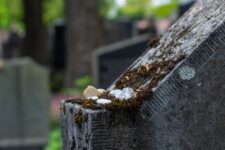 jewish cemetery gravestone with pebbles and moss